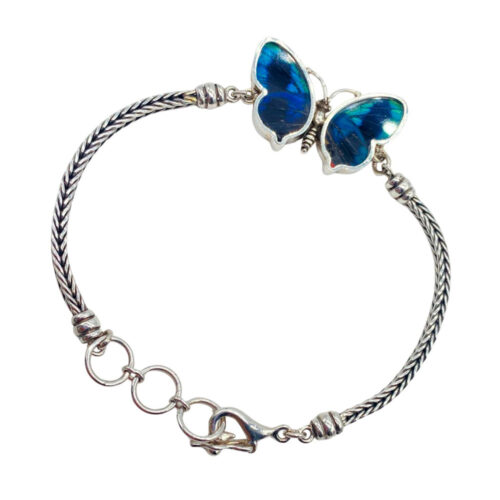 Mariposa azul