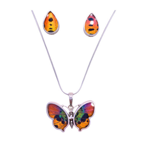 Mariposa natural